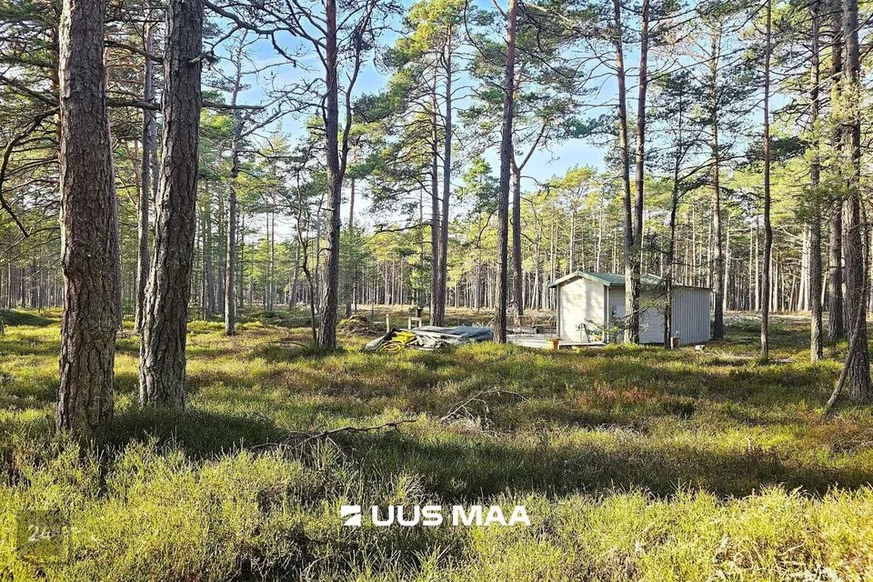 Elamumaa, 6394 m² Maa - Lääne-Nigula vald, Rooslepa küla / Roslep - foto 3