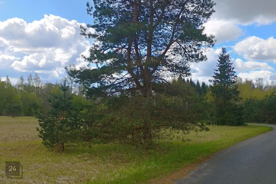 Maatulundusmaa, 6951 m² Maa - Türi vald, Kolu küla - foto 2