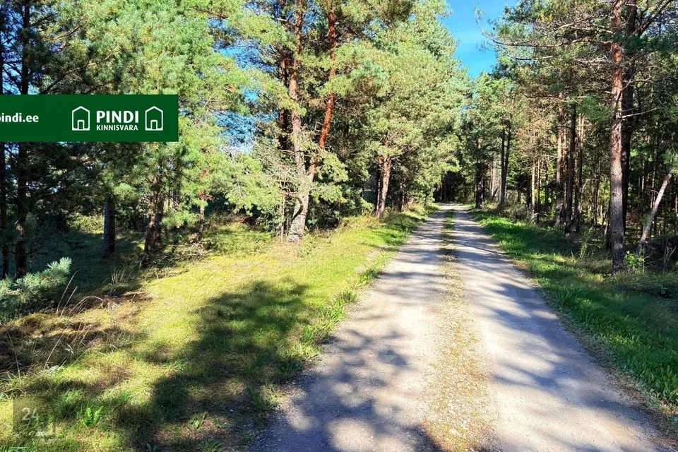 Maatulundusmaa, 9613 m² Maa  -  Viru-Nigula vald, Letipea küla - foto 3