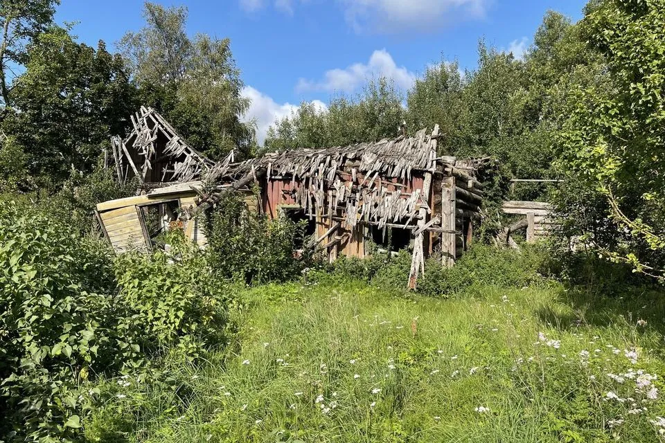 Elamumaa, 16022 m² Maa  -  Saaremaa vald, Linnuse küla - foto 4