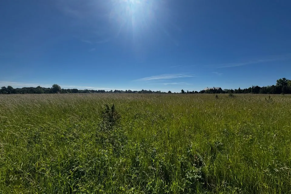 Elamumaa, 10522 m² Maa - Saaremaa vald, Suure-Rootsi küla - foto 2