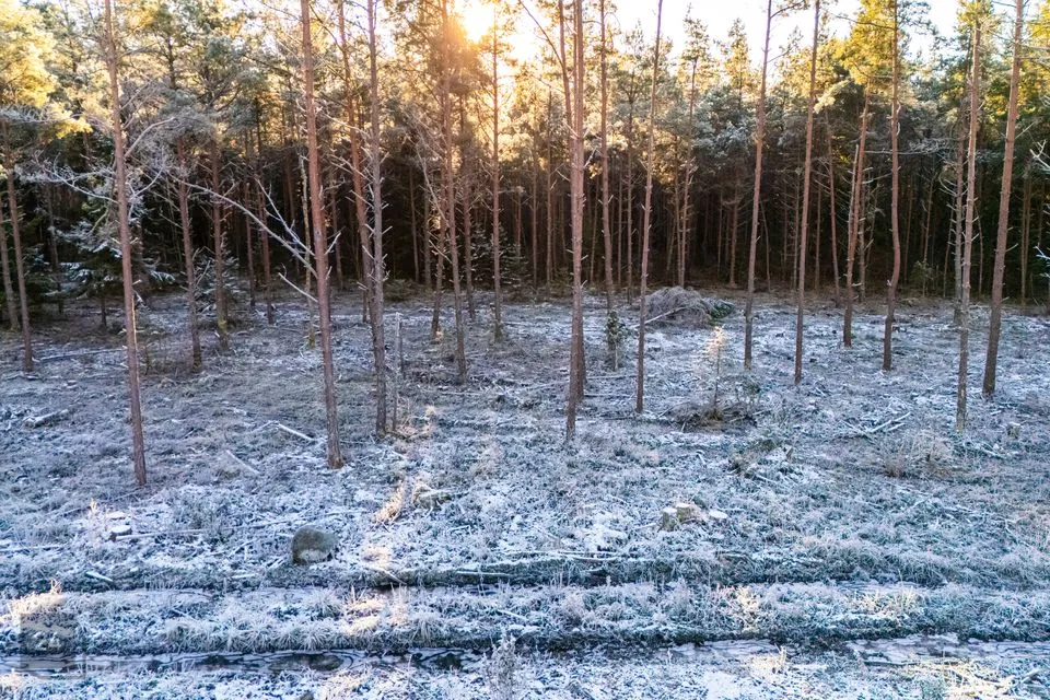 Maatulundusmaa, 12572 m² Maa  -  Muhu vald, Rinsi küla - foto 3