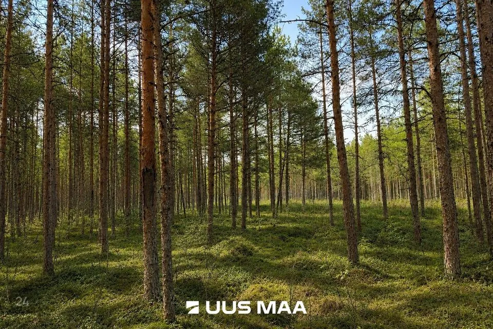 Elamumaa, 23998 m² Maa  -  Kiili vald, Nabala küla - foto 3
