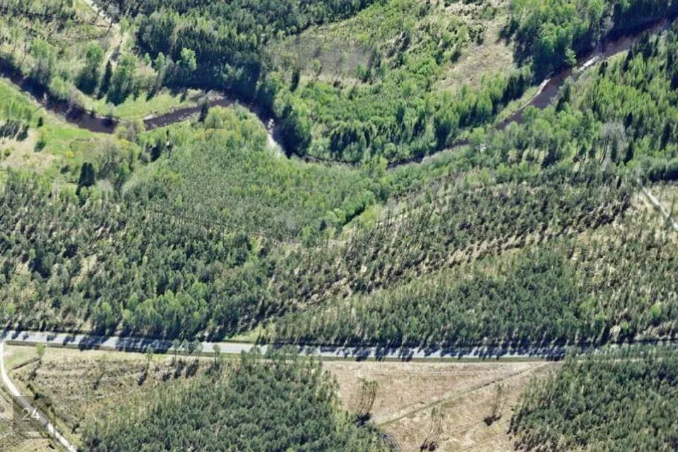 Maatulundusmaa, 31300 m² Maa  -  Alutaguse vald, Roostoja küla - foto 2