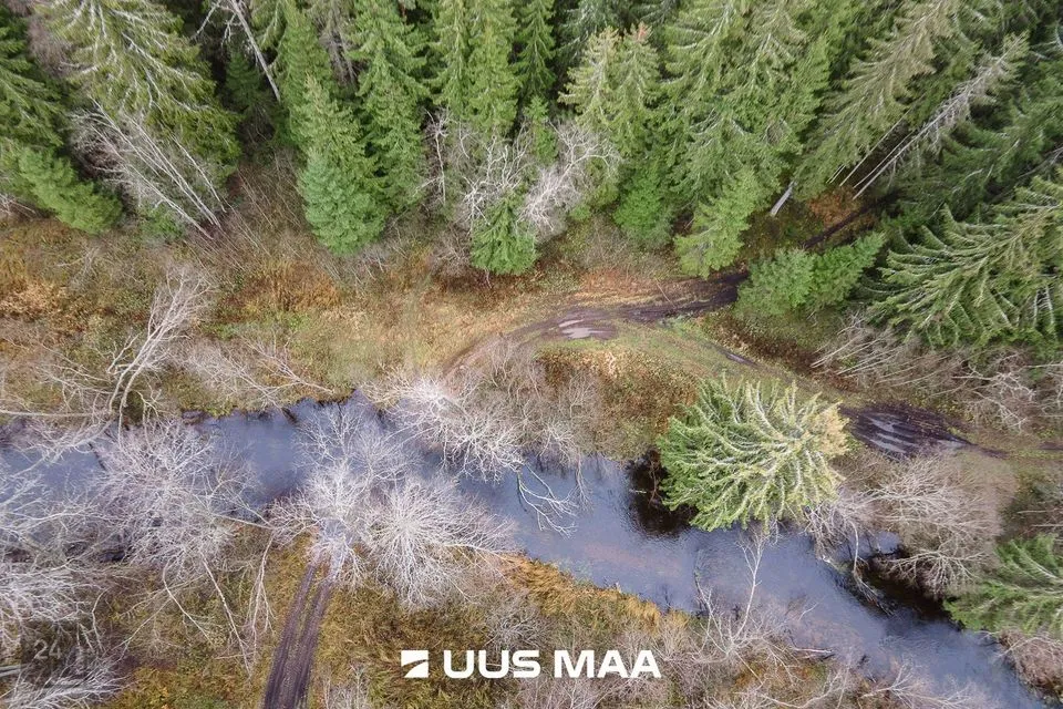 Elamumaa, 20241 m² Maa - Kanepi vald, Jõgehara küla - foto 3
