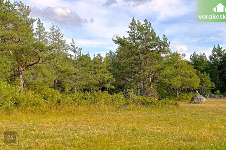 Elamumaa, 11251 m² Maa  -  Muhu vald, Pallasmaa küla - foto 5