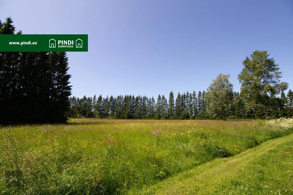 Sotsiaalmaa - ühiskondlike ehitiste maa, 13148 m² Maa  -  Lääne-Nigula vald, Pürksi küla / Birkas - foto 3
