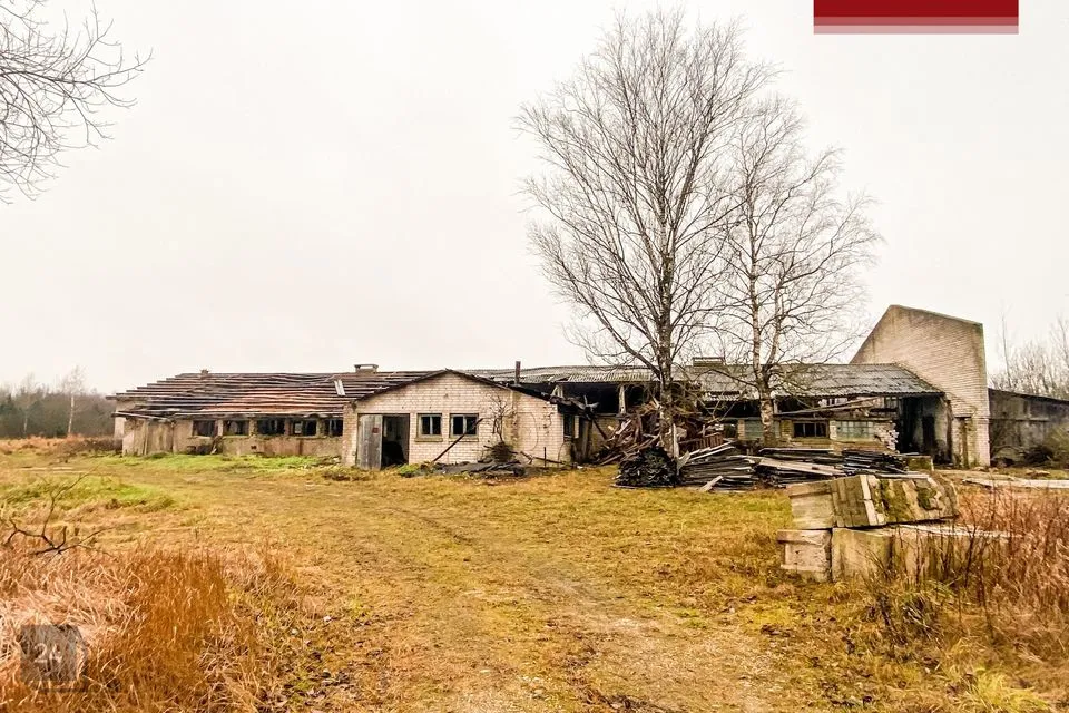 Muu, 736 m² Äripind  -  Viljandi vald, Mäeltküla - foto 2