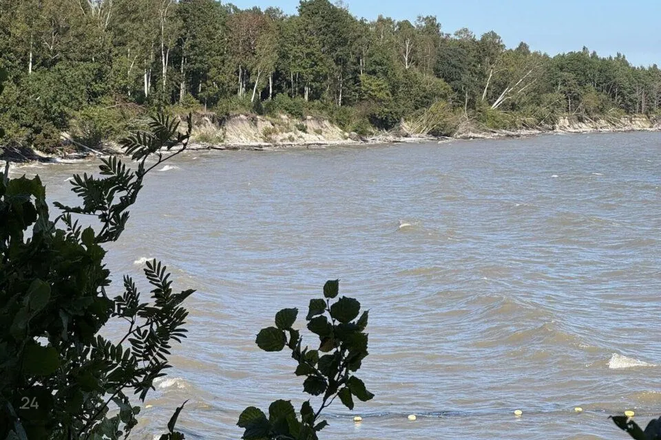 Elamumaa, 5505 m² Maa - Saaremaa vald, Mõntu küla