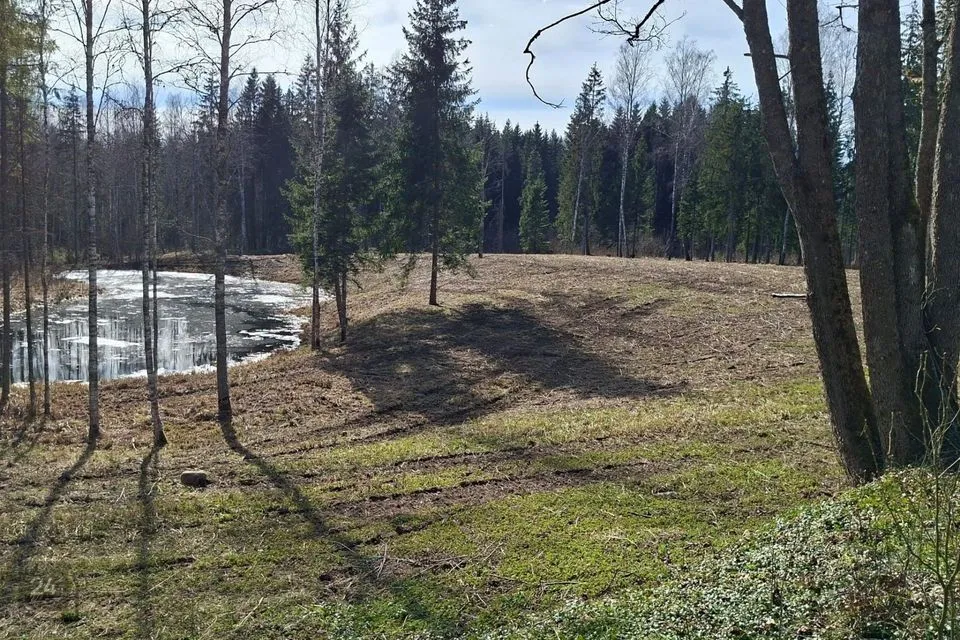 Maatulundusmaa, 30030 m² Maa  -  Otepää vald, Pilkuse küla - foto 2