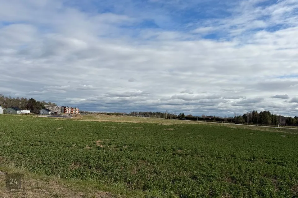 Земля жилой застройки, 3169 m² участок в Raasiku vald, Igavere küla - фото 3