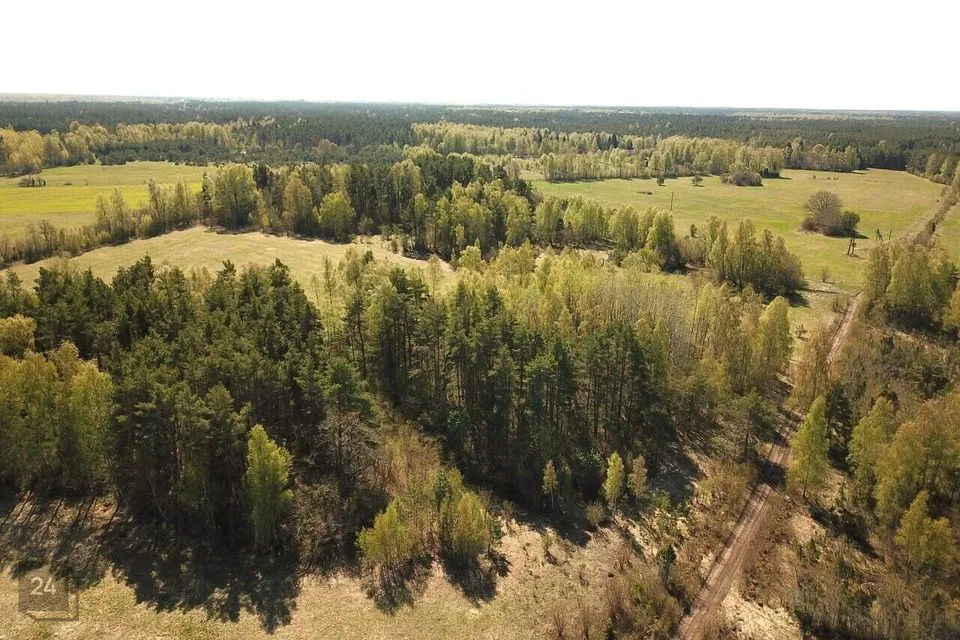 Maatulundusmaa, 17039 m² Maa  -  Muhu vald, Tupenurme küla - foto 3