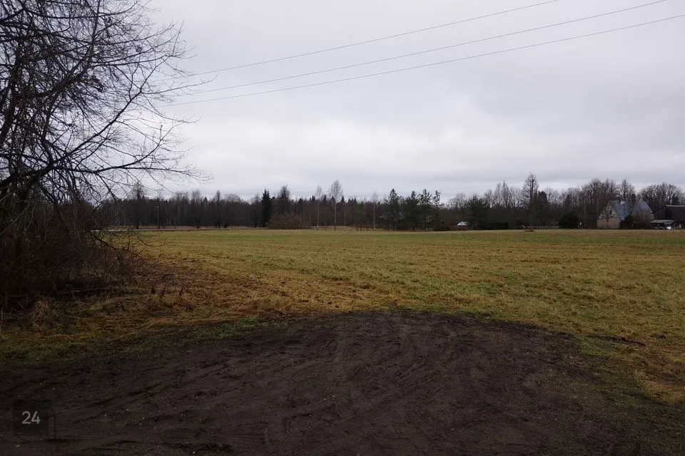 Tootmismaa, 12660 m² Maa - Järva vald, Ambla alevik - foto 4