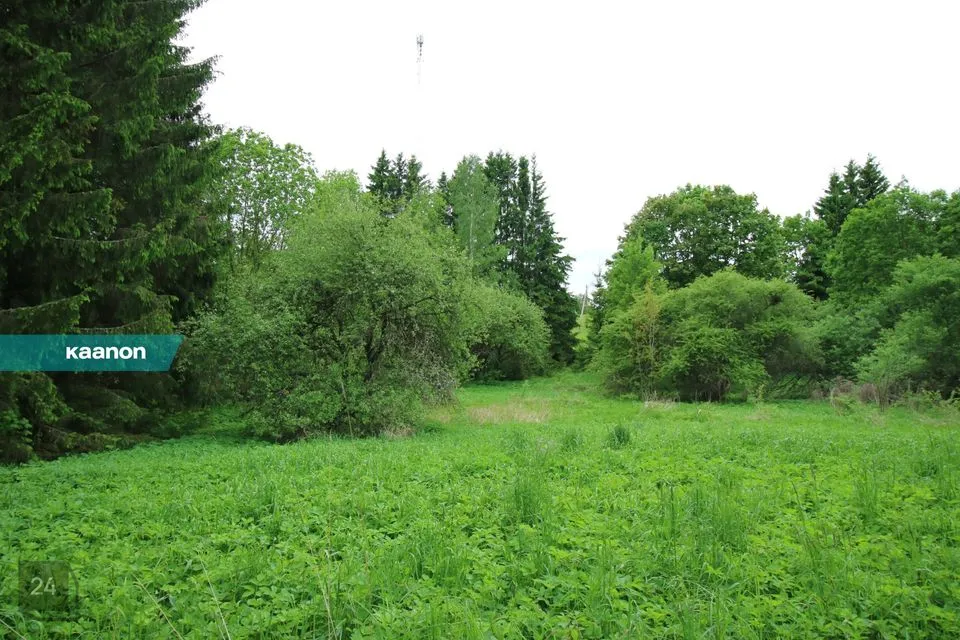 Elamumaa, 2780 m² Maa  -  Kambja vald, Pangodi küla - foto 3