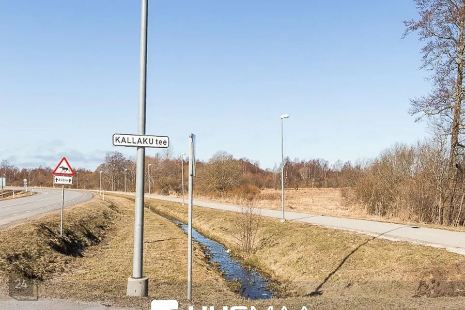 Maatulundusmaa, 98000 m² Maa  -  Harku vald, Suurupi küla - foto 2