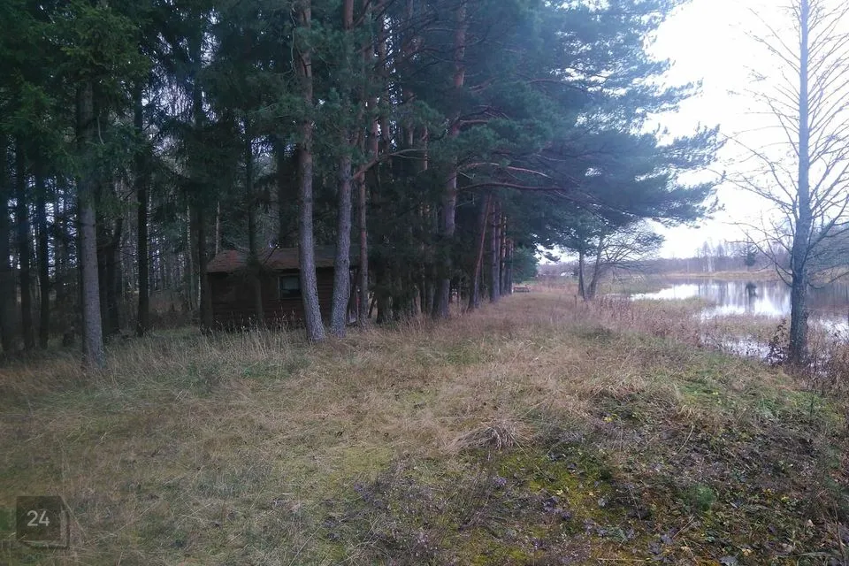 Maatulundusmaa, 12228 m² Maa  -  Mustvee vald, Omedu küla