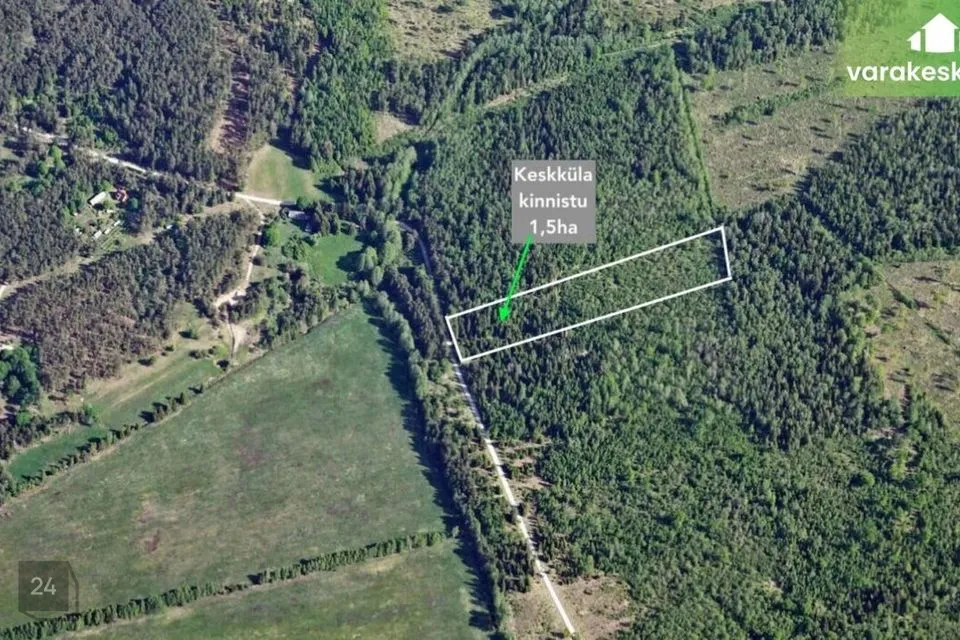 Maatulundusmaa, 15885 m² участок в Saaremaa vald, Pöitse küla