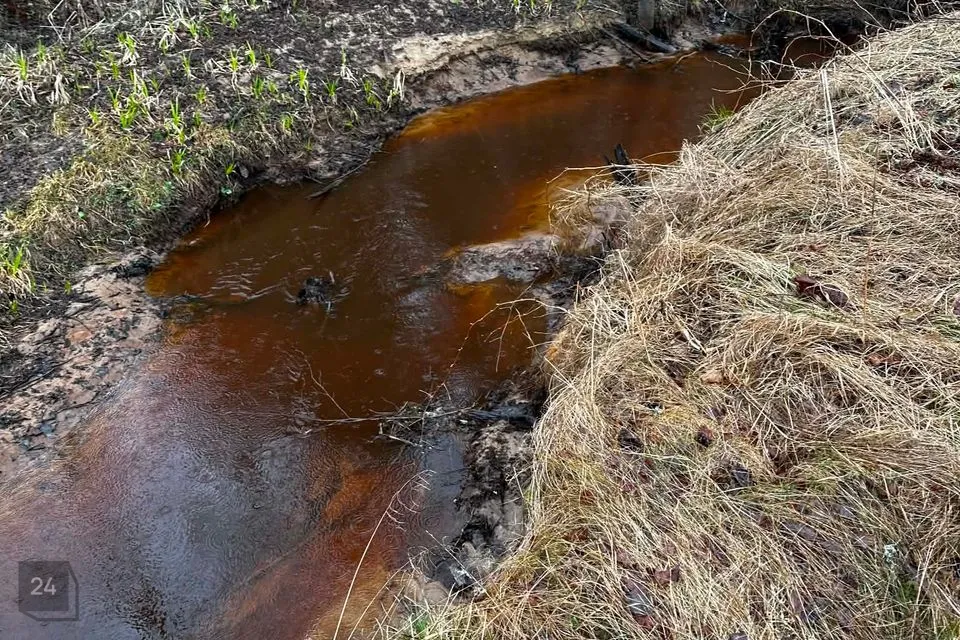 Maatulundusmaa, 39000 m² участок в Alutaguse vald, Kauksi küla - фото 2