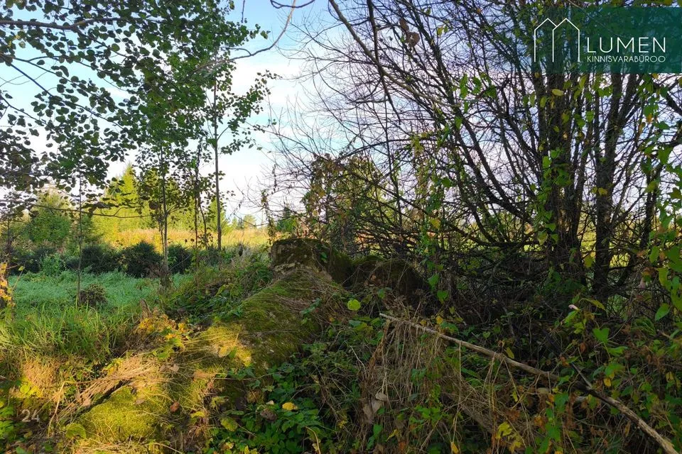 Maatulundusmaa, 1880 m² Maa  -  Võru vald, Lilli-Anne küla - foto 5