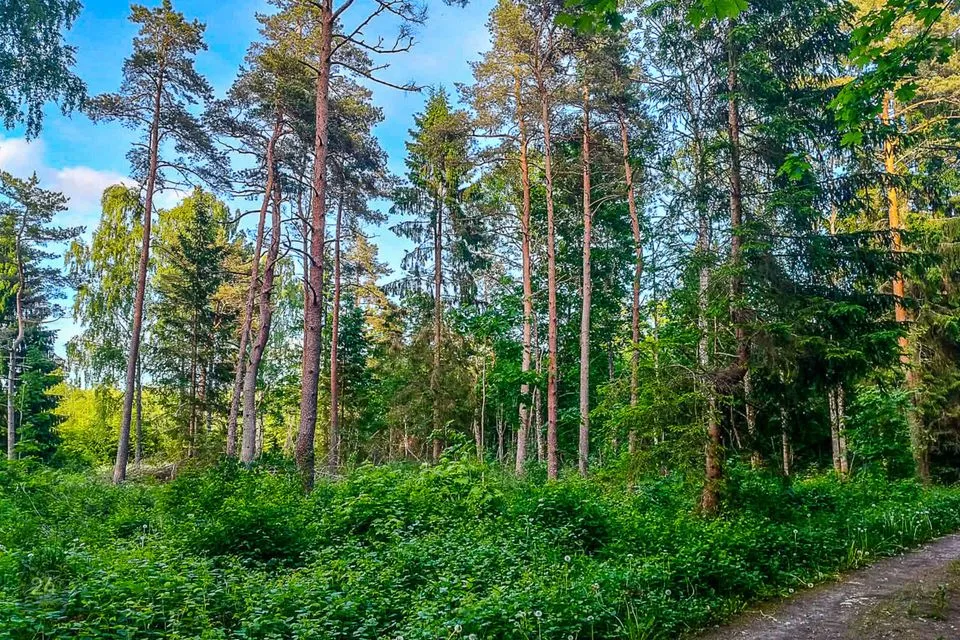 Maatulundusmaa, 20003 m² Maa - Saku vald, Üksnurme küla - foto 2