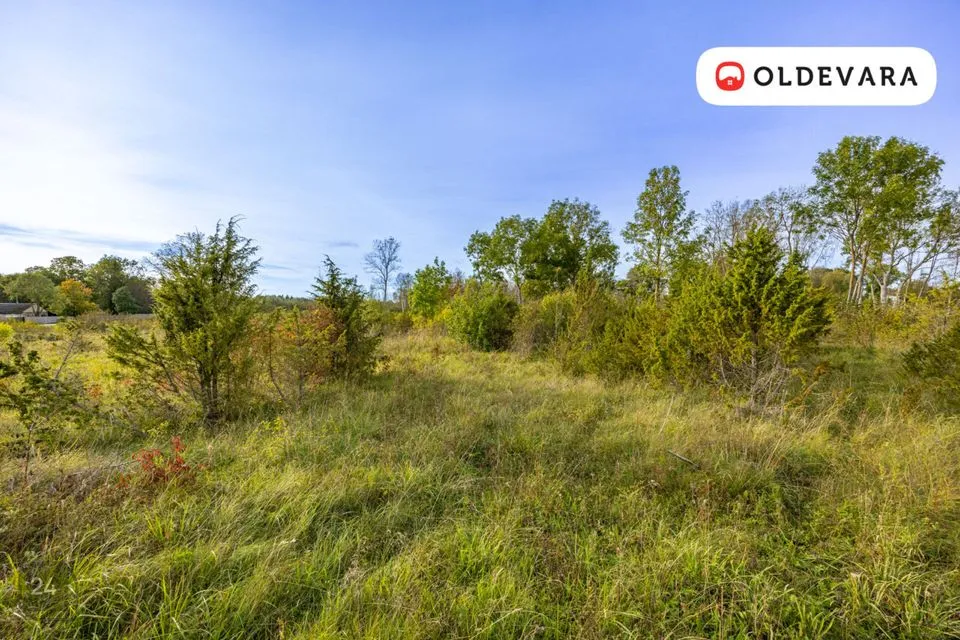 Maatulundusmaa, 11270 m² Maa - Haapsalu linn, Laheva küla - foto 2