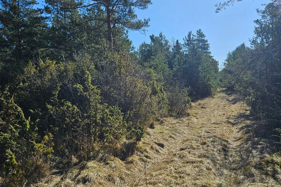 Cultivated land, 55169 m² land in Saaremaa vald, Ennu küla