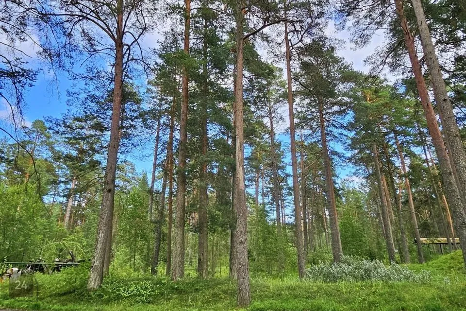 Riigikaitsemaa, 2020 m² Maa  -  Narva-Jõesuu linn, Narva-Jõesuu linn - foto 4