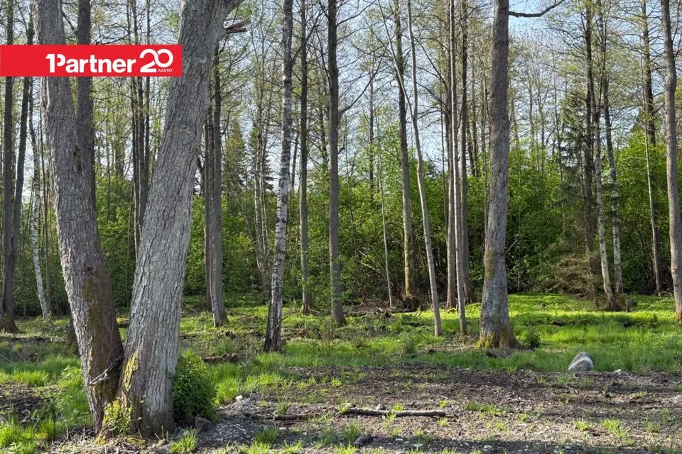 Elamumaa, 4119 m² Maa  -  Harku vald, Suurupi küla - foto 4