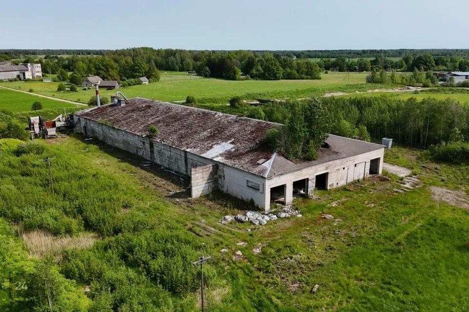 3617 m² Äripind - Tori vald, Suigu küla - foto 5