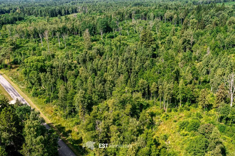 Maatulundusmaa, 10009 m² участок в Lääneranna vald, Rädi küla - фото 2
