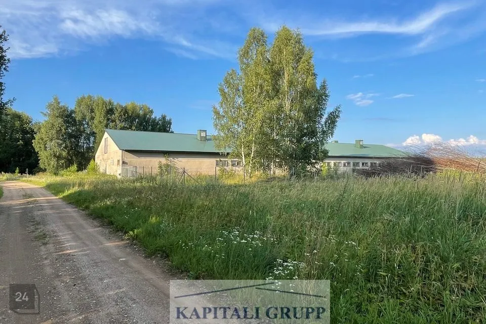 Mitme sihtotstarbega, 1488 m² Äripind - Tõrva vald, Lõve küla - foto 4