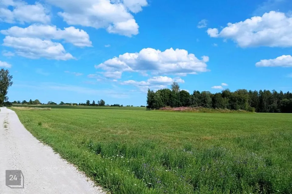 3511 m² Maa - Haljala vald, Võhma küla