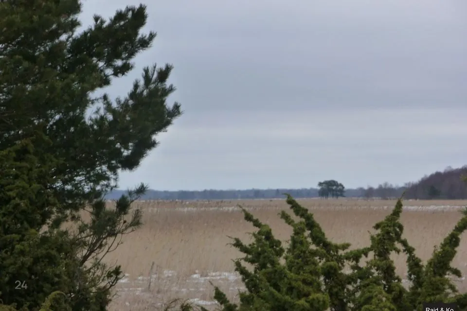 Maatulundusmaa, 27900 m² Maa  -  Haapsalu linn, Puise küla - foto 3
