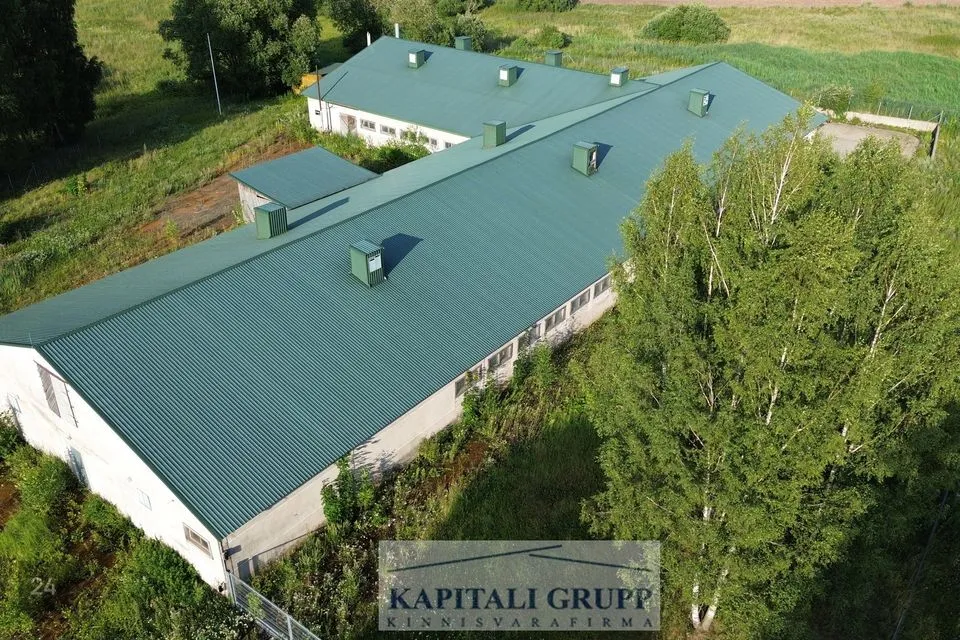 Mitme sihtotstarbega, 1488 m² Äripind - Tõrva vald, Lõve küla