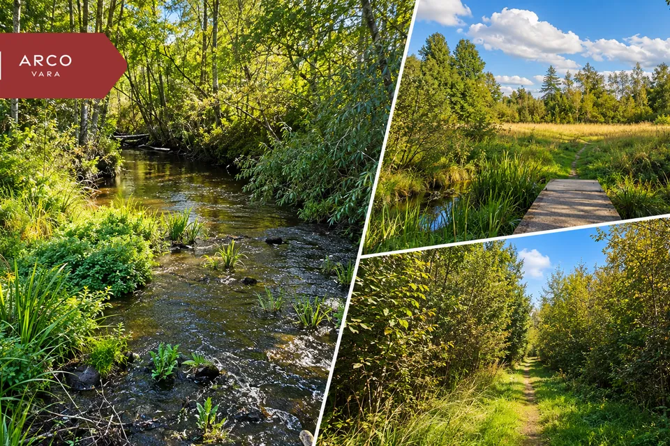Maatulundusmaa, 56835 m² Maa  -  Rapla vald, Sulupere küla
