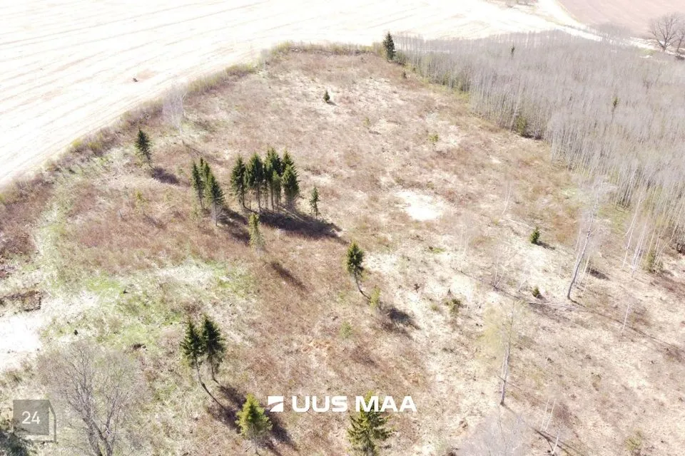 Maatulundusmaa, 63050 m² участок в Järva vald, Ervita küla - фото 4
