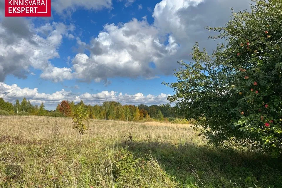 Maatulundusmaa, 23800 m² Maa - Pärnu linn, Aruvälja küla - foto 4