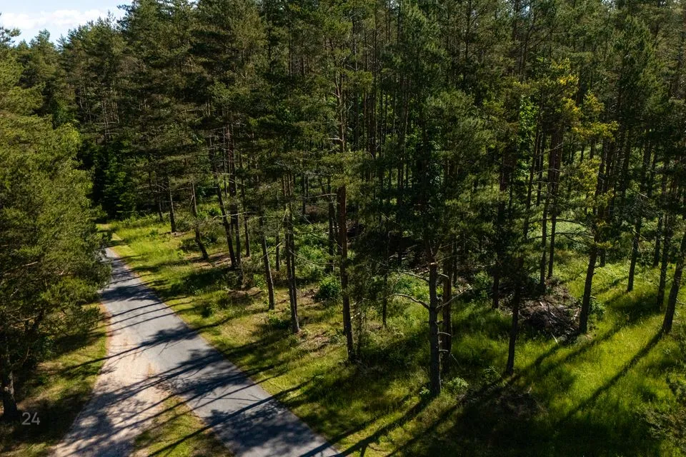 Sotsiaalmaa - üldkasutatav maa, 9910 m² Maa  -  Saaremaa vald, Mätasselja küla - foto 4