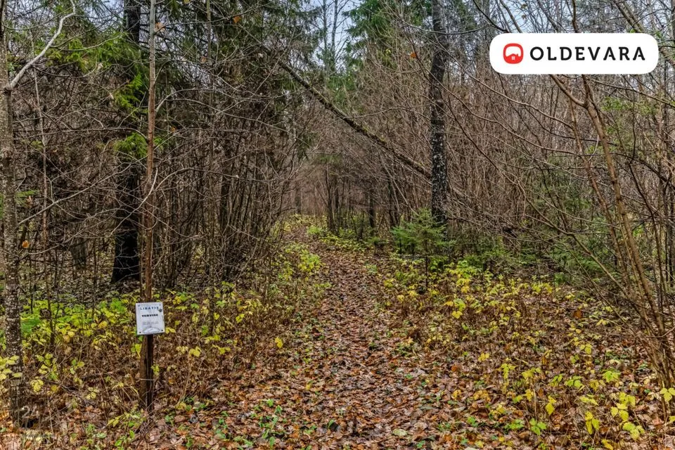 Elamumaa, 2389 m² Maa - Põhja-Pärnumaa vald, Libatse küla - foto 2