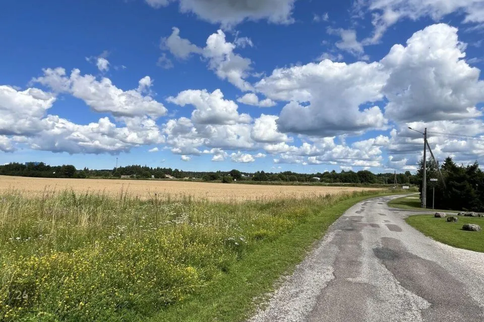 Tootmismaa, 4455 m² Maa - Kohila vald, Masti küla - foto 2