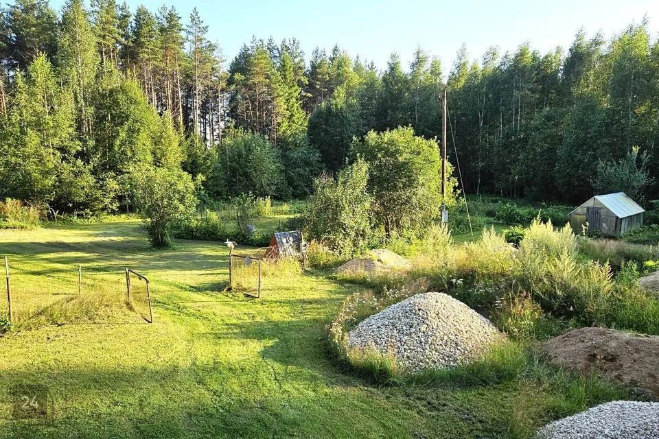 Maatulundusmaa, 35000 m² участок в Türi vald, Jändja küla - фото 3