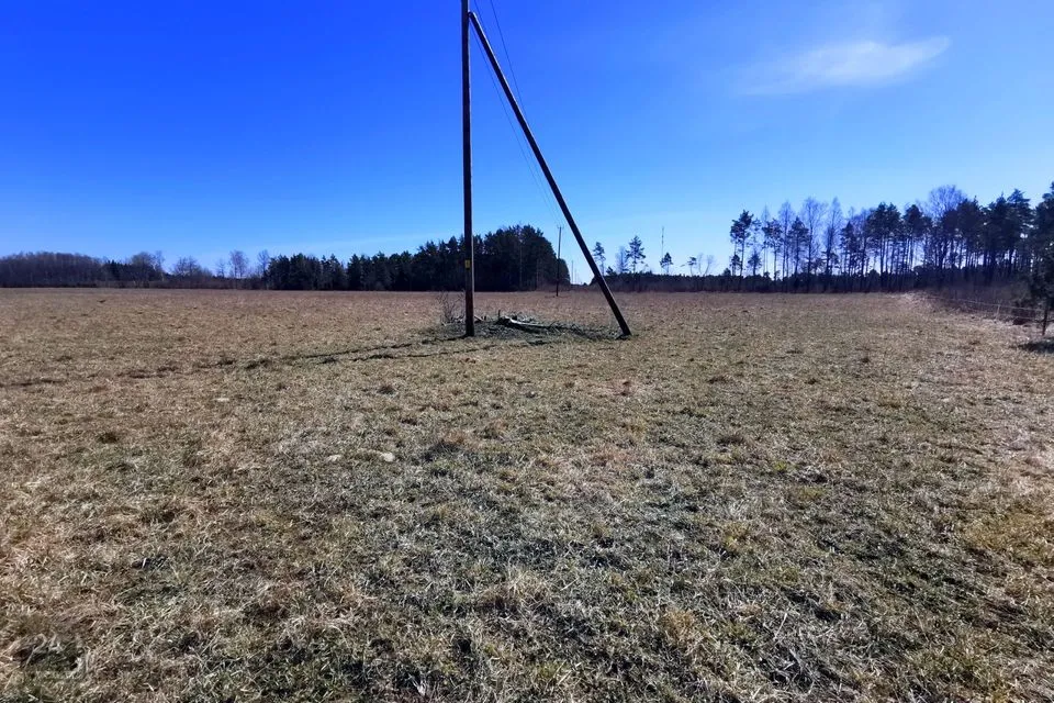 Maatulundusmaa, 31600 m² участок в Lääne-Nigula vald, Aulepa küla / Dirslätt