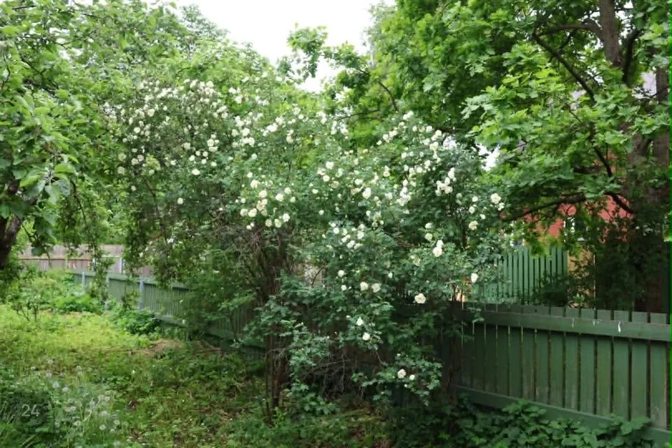 6-toaline Maja - Tallinn, Põhja-Tallinna linnaosa - foto 3