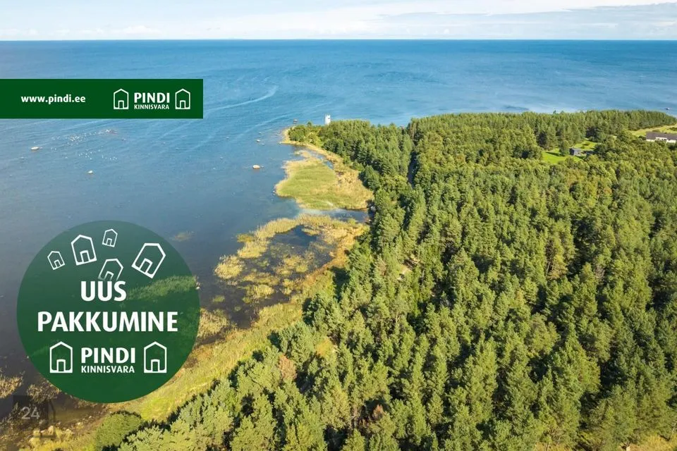 Maatulundusmaa, 9613 m² Maa  -  Viru-Nigula vald, Letipea küla