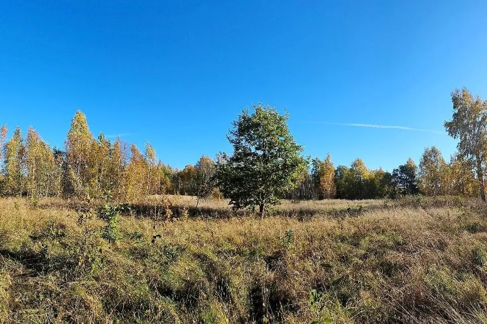 Maatulundusmaa, 9349 m² Maa - Häädemeeste vald, Kabli küla