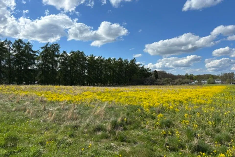 Земля жилой застройки, 10000 m² участок в Raasiku vald, Igavere küla