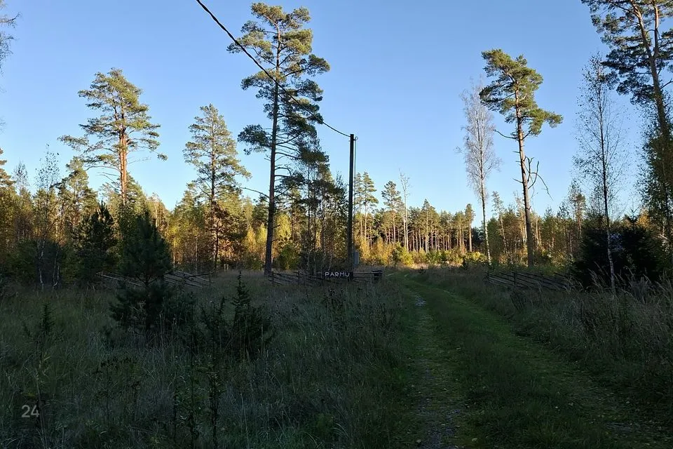 Elamumaa, 4504 m² Maa  -  Lääne-Nigula vald, Paslepa küla / Pasklep - foto 2