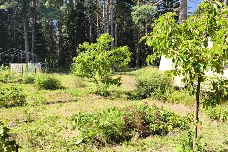 Elamumaa, 9070 m² Maa  -  Lääne-Harju vald, Langa küla - foto 4
