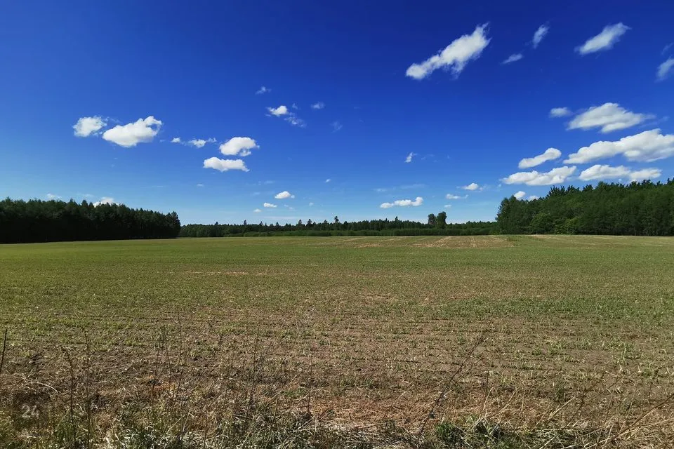 Maatulundusmaa, 22000 m² Maa - Kose vald, Paunküla - foto 3