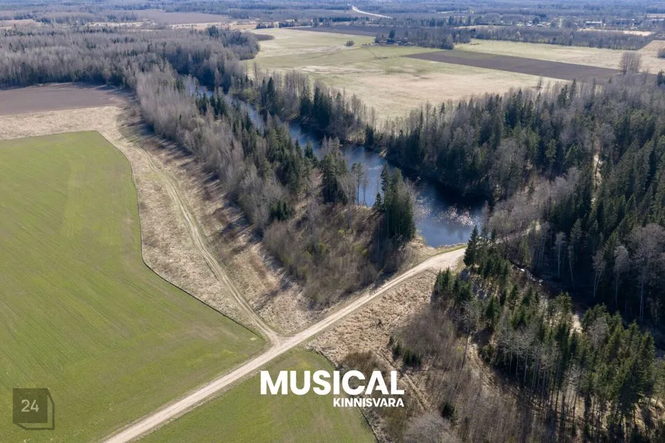 6131 m² Maa - Mulgi vald, Veelikse küla - foto 3